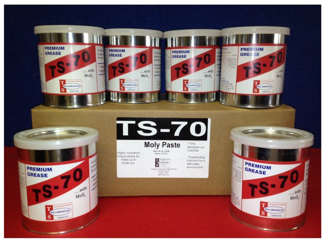 TS-70 Moly Paste